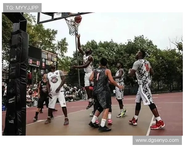 篮球巨星之路 从街头到巅峰 他们如何超越自我成就传奇