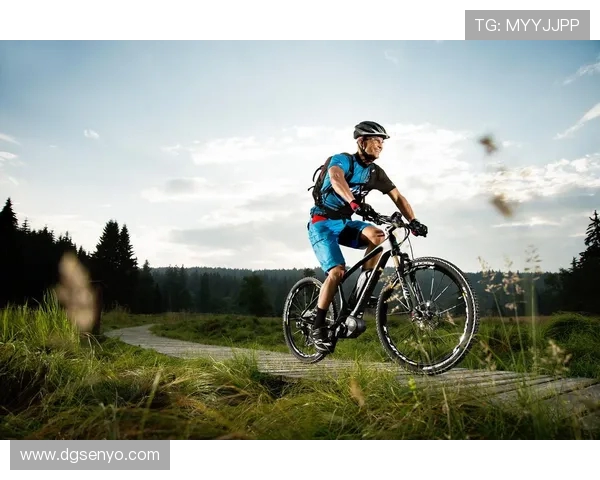 提升身体素质与心理健康的完美结合探索运动对现代人生活方式的深远影响
